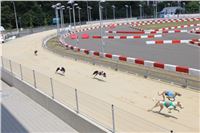 dostihy_chrtu_Grey-TiP_Greyhound_Park_Motol_IMG_8308.JPG