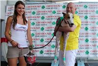 dostihy_chrtu_Grey-TiP_Greyhound_Park_Motol_IMG_8327.JPG