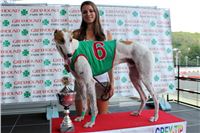 dostihy_chrtu_Grey-TiP_Greyhound_Park_Motol_IMG_8329.jpg