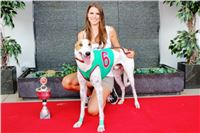 dostihy_chrtu_Grey-TiP_Greyhound_Park_Motol_IMG_8344.JPG