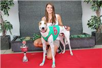 dostihy_chrtu_Grey-TiP_Greyhound_Park_Motol_IMG_8345.JPG