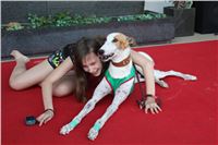 dostihy_chrtu_Grey-TiP_Greyhound_Park_Motol_IMG_8355.JPG