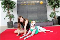 dostihy_chrtu_Grey-TiP_Greyhound_Park_Motol_IMG_8361.JPG