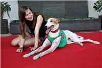 dostihy_chrtu_Grey-TiP_Greyhound_Park_Motol_IMG_8362.JPG