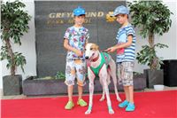 dostihy_chrtu_Grey-TiP_Greyhound_Park_Motol_IMG_8376.JPG