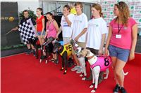 dostihy_chrtu_Grey-TiP_Greyhound_Park_Motol_IMG_8388.JPG