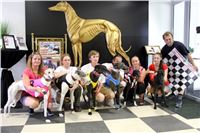 dostihy_chrtu_Grey-TiP_Greyhound_Park_Motol_IMG_8396.JPG