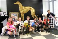 dostihy_chrtu_Grey-TiP_Greyhound_Park_Motol_IMG_8401.JPG