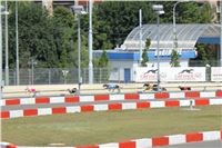 dostihy_chrtu_Grey-TiP_Greyhound_Park_Motol_IMG_8418.JPG