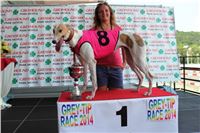 dostihy_chrtu_Grey-TiP_Greyhound_Park_Motol_IMG_8441.JPG