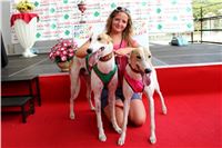 dostihy_chrtu_Grey-TiP_Greyhound_Park_Motol_IMG_8467.JPG