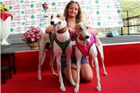 dostihy_chrtu_Grey-TiP_Greyhound_Park_Motol_IMG_8471.JPG