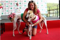 dostihy_chrtu_Grey-TiP_Greyhound_Park_Motol_IMG_8475.JPG