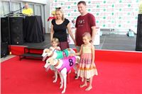 dostihy_chrtu_Grey-TiP_Greyhound_Park_Motol_IMG_8492.JPG