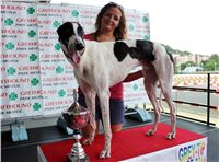 dostihy_chrtu_Grey-TiP_Greyhound_Park_Motol_IMG_8513.JPG