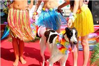 Aloha_Hawaii_Greyhound_Park_Motol_IMG_8642.JPG