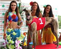 3. Hawaii_Greyhound_Park_Motol_Prague_ IMG_9141.JPG