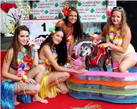 5. Hawaii_Greyhound_Park_Motol_Prague_IMG_8982.JPG