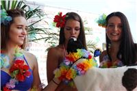 Hawaii_Greyhound_Park_Motol_dostihy_chrtu_IMG_8665.JPG