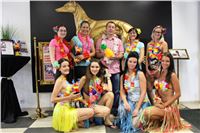 Hawaii_Greyhound_Park_Motol_dostihy_chrtu_IMG_8684.JPG