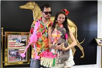 Hawaii_Greyhound_Park_Motol_dostihy_chrtu_IMG_8720.JPG