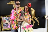 Hawaii_Greyhound_Park_Motol_dostihy_chrtu_IMG_8724.JPG