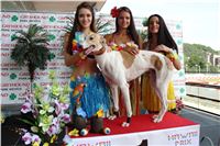 Hawaii_Greyhound_Park_Motol_dostihy_chrtu_IMG_8770.JPG