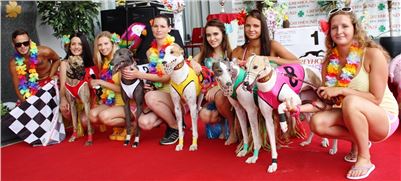 Hawaii_Greyhound_Park_Motol_dostihy_chrtu_IMG_9018_v.JPG