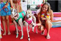 Hawaii_Greyhound_Park_Motol_dostihy_chrtu_IMG_9021.JPG