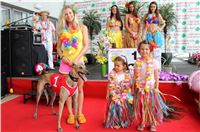 Hawaii_Greyhound_Park_Motol_dostihy_chrtu_IMG_9093.JPG