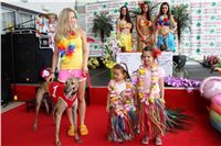 Hawaii_Greyhound_Park_Motol_dostihy_chrtu_IMG_9096.JPG