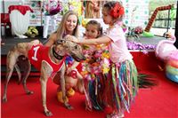 Hawaii_Greyhound_Park_Motol_dostihy_chrtu_IMG_9105.JPG