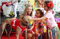 Hawaii_Greyhound_Park_Motol_dostihy_chrtu_IMG_9106.JPG