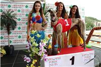 Hawaii_Greyhound_Park_Motol_dostihy_chrtu_IMG_9141.JPG