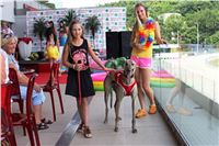 Hawaii_Greyhound_Park_Motol_dostihy_chrtu_IMG_9217.JPG