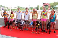 Hawaii_Greyhound_Park_Motol_dostihy_chrtu_IMG_9237.JPG