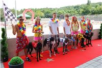 Hawaii_Greyhound_Park_Motol_dostihy_chrtu_IMG_9238.JPG