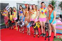 Hawaii_Greyhound_Park_Motol_dostihy_chrtu_IMG_9247.JPG