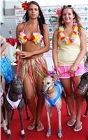 Hawaii_Greyhound_Park_Motol_dostihy_chrtu_IMG_9252.JPG