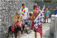 Hawaii_Greyhound_Park_Motol_dostihy_chrtu_IMG_9275.JPG