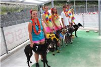 Hawaii_Greyhound_Park_Motol_dostihy_chrtu_IMG_9279.JPG