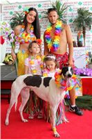 Hawaii_Greyhound_Park_Motol_dostihy_chrtu_IMG_9406.JPG