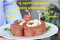 10_Happy_Birthday_Racing_Greyhounds_Ceska_Greyhound_Dostihova_Federace_IMG_9622_v.jpg