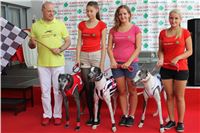 dostihy_chrtu_Greyhound_Park_Motol_race_IMG_9587.JPG