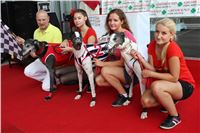 dostihy_chrtu_Greyhound_Park_Motol_race_IMG_9589.JPG