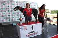 dostihy_chrtu_Greyhound_Park_Motol_race_IMG_9616.JPG
