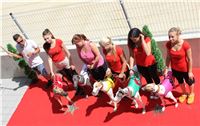 dostihy_chrtu_Greyhound_Park_Motol_race_IMG_9643.JPG