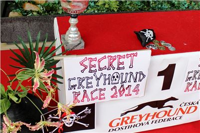 Dostihy_chrtu_Secret_Race_Greyhound_Park_Motol_2_IMG_v_9826.jpg