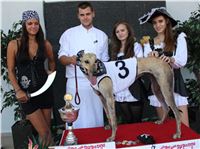 1_Dostihy_chrtu_Secret_Race_Greyhound_Park_Motol_2_IMG_0143.JPG