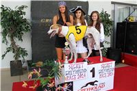 Dostihy_chrtu_Secret_Race_Greyhound_Park_Motol_2_IMG_0006.JPG